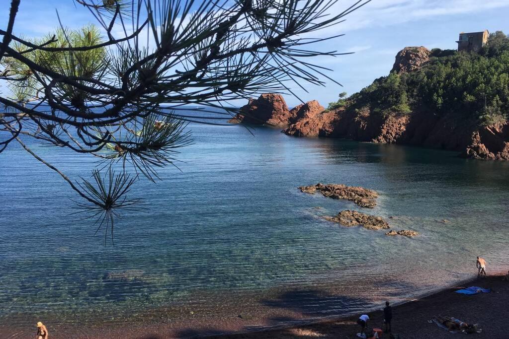 "Les Alizes" Cote Piscine Proche Bord De Mer Saint-Raphael  Exterior photo